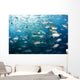 Micronesia, Schooling Bigeye Jack Fish Wall Mural