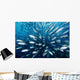 Schooling Bigeye Jack Fish Wall Mural