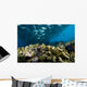 Malaysia, Reef Scene With Lionfish And Schooling Jack Fish Wall Mural