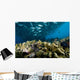 Malaysia, Reef Scene With Lionfish And Schooling Jack Fish Wall Mural