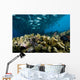 Malaysia, Reef Scene With Lionfish And Schooling Jack Fish Wall Mural