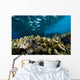 Malaysia, Reef Scene With Lionfish And Schooling Jack Fish Wall Mural