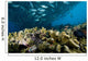Malaysia, Reef Scene With Lionfish And Schooling Jack Fish Wall Mural