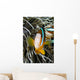 Clark's Anemonefish And Sea Anemone Wall Mural