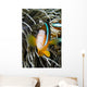 Clark's Anemonefish And Sea Anemone Wall Mural