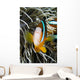 Clark's Anemonefish And Sea Anemone Wall Mural