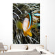 Clark's Anemonefish And Sea Anemone Wall Mural