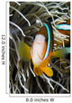 Clark's Anemonefish And Sea Anemone Wall Mural