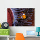 Clown Anemonefish Hiding In Anemone Wall Mural