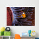 Clown Anemonefish Hiding In Anemone Wall Mural