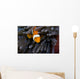 Clown Anemonefish Hiding In Anemone Wall Mural
