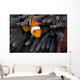 Clown Anemonefish Hiding In Anemone Wall Mural