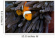 Clown Anemonefish Hiding In Anemone Wall Mural