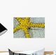 USA, Reticulated Brittle Star On Cushion Starfish Wall Mural