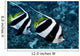 Hawaii, Two Pennant Bannerfish Gliding Through Water Together Wall Mural