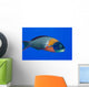 USA, Colorful Fish In Open Water Wall Mural