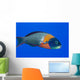 USA, Colorful Fish In Open Water Wall Mural