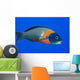 USA, Colorful Fish In Open Water Wall Mural