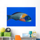 USA, Colorful Fish In Open Water Wall Mural