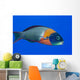 USA, Colorful Fish In Open Water Wall Mural