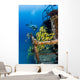 Hawaii, Oahu, School Of Blue Striped Snapper Fish Wall Mural