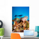 Indonesia, Illuminated Colorful Reef And Silhouette Of Diver Wall Mural