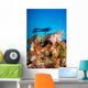 Indonesia, Illuminated Colorful Reef And Silhouette Of Diver Wall Mural