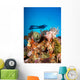 Indonesia, Illuminated Colorful Reef And Silhouette Of Diver Wall Mural