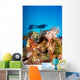 Indonesia, Illuminated Colorful Reef And Silhouette Of Diver Wall Mural