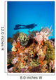 Indonesia, Illuminated Colorful Reef And Silhouette Of Diver Wall Mural