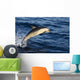 Mexico Coast, Common Dolphin Jumping From Deep Blue Sea Wall Mural