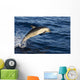 Mexico Coast, Common Dolphin Jumping From Deep Blue Sea Wall Mural