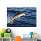 Mexico Coast, Common Dolphin Jumping From Deep Blue Sea Wall Mural