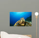 Hawaii, Green Sea Turtle Above Coral Reef Wall Mural