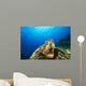 Hawaii, Green Sea Turtle Above Coral Reef Wall Mural