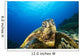 Hawaii, Green Sea Turtle Above Coral Reef Wall Mural