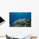 Micronesia, Yap, Green Sea Turtle Over Coral Reef Wall Mural