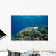Micronesia, Yap, Green Sea Turtle Over Coral Reef Wall Mural