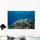Micronesia, Yap, Green Sea Turtle Over Coral Reef Wall Mural