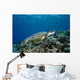 Micronesia, Yap, Green Sea Turtle Over Coral Reef Wall Mural
