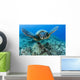 Hawaii, Green Sea Turtle Gliding Through The Water Wall Mural