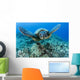 Hawaii, Green Sea Turtle Gliding Through The Water Wall Mural