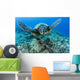 Hawaii, Green Sea Turtle Gliding Through The Water Wall Mural