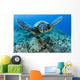 Hawaii, Green Sea Turtle Gliding Through The Water Wall Mural