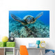 Hawaii, Green Sea Turtle Gliding Through The Water Wall Mural
