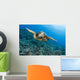 Hawaii, Green Sea Turtle Gliding Through The Water Wall Mural