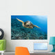 Hawaii, Green Sea Turtle Gliding Through The Water Wall Mural