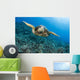 Hawaii, Green Sea Turtle Gliding Through The Water Wall Mural