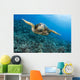 Hawaii, Green Sea Turtle Gliding Through The Water Wall Mural