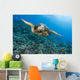 Hawaii, Green Sea Turtle Gliding Through The Water Wall Mural